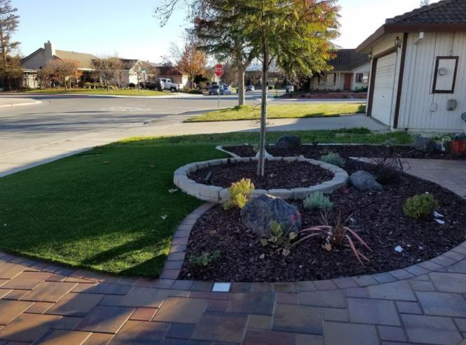 Sol Landscape: Service Image-12 Sol Landscape: Service Image-12