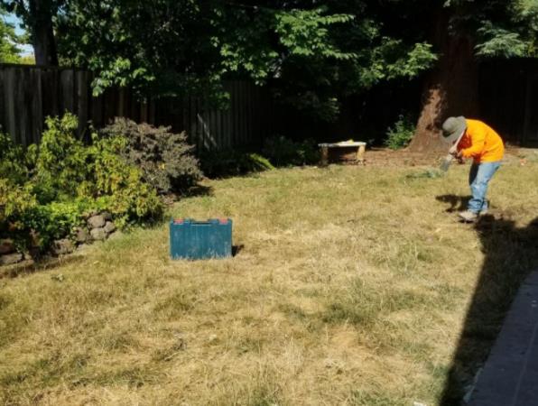 Sol Landscape: Service Image-4 Sol Landscape: Service Image-4